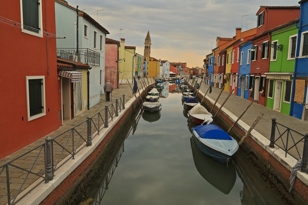 30310644762_41bbd51750_b